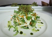 salata vietnameza