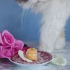 crema hidratanta pentru conturul ochilor