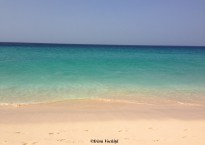 sal cabo verde